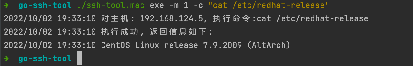 执行一个命令
